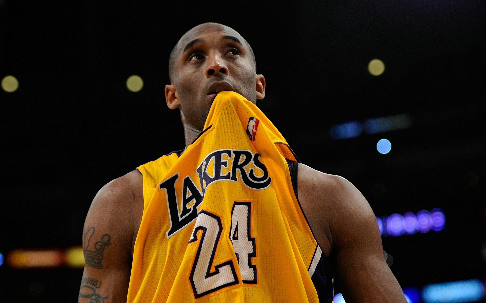 但也暗示他 但也暗示他