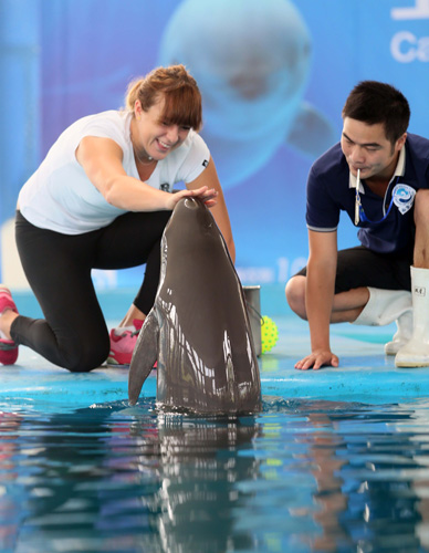 让两者之间 让两者之间