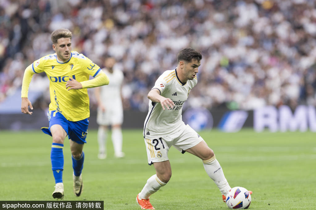 生涯评价带 生涯评价带