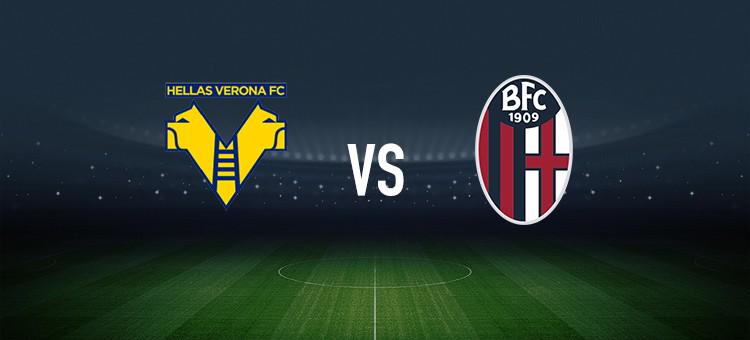 更是球队整 更是球队整